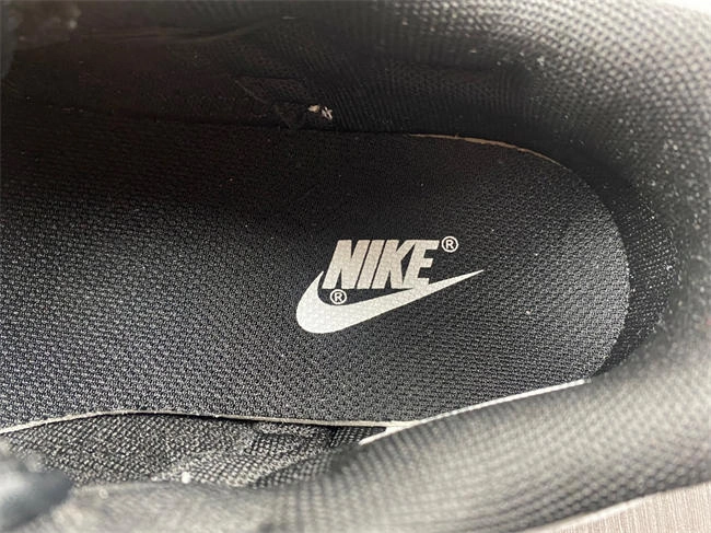 Refined Nike Dunk Low  DV0831- 4567