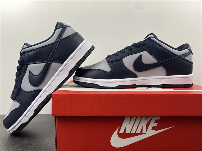Nike Dunk Low Georgetown DD1391- WaterResistant 4825