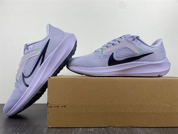 Nike Pegasus 40 DV3853- Seasonal 5311