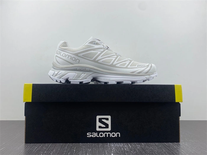 Salomon XT-6 White Lunar Rock Snug 5959